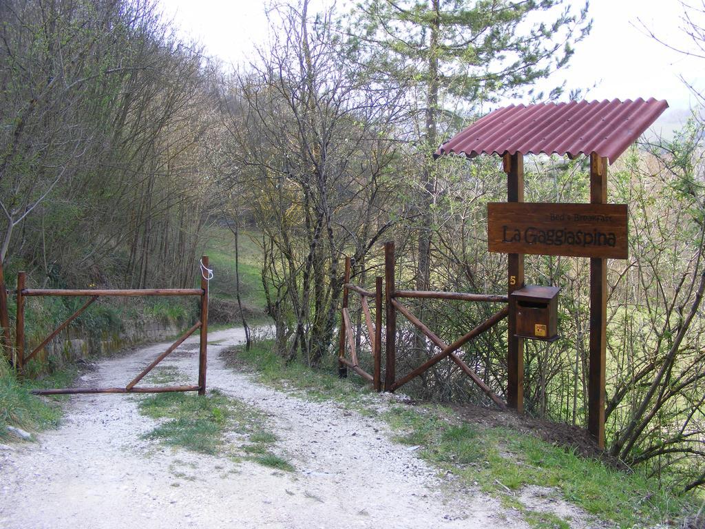 加吉亚斯皮纳住宿加早餐旅馆 诺西拉·乌姆布拉 外观 照片